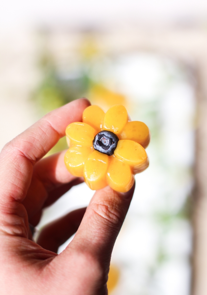 Unflavored Jel Passion Fruit Flowers